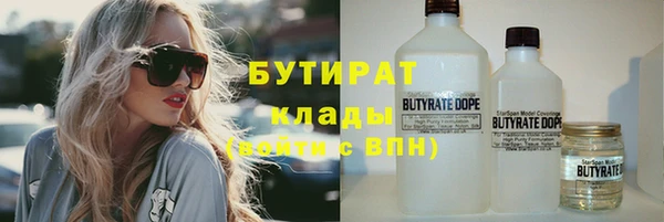 индика Арсеньев