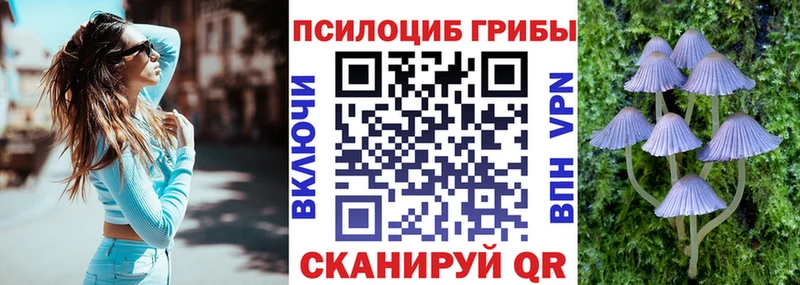 закладка  Пласт  блэк спрут ссылки  это Telegram  Псилоцибиновые грибы GOLDEN TEACHER 
