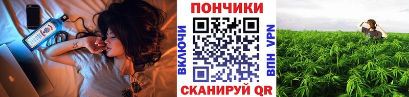 купить наркотики цена  Пласт  Каннабис планчик 